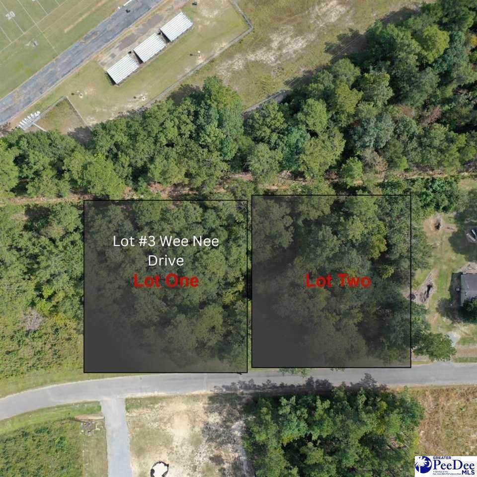Lot 3 Wee Nee Drive - Photo 1