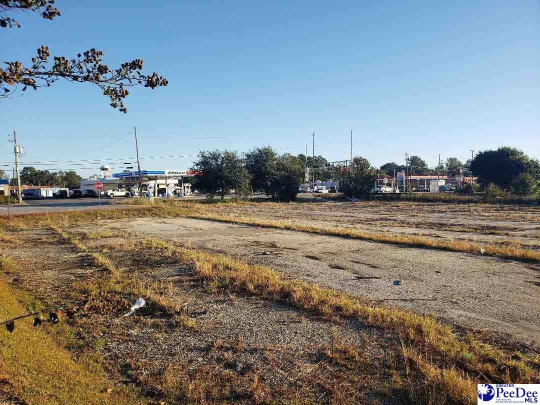 Hwy 76 (Mcintyre St) - Photo 1