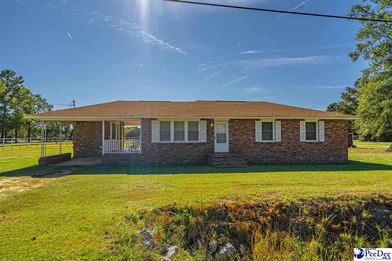 3239 Pamplico Hwy - Photo 1