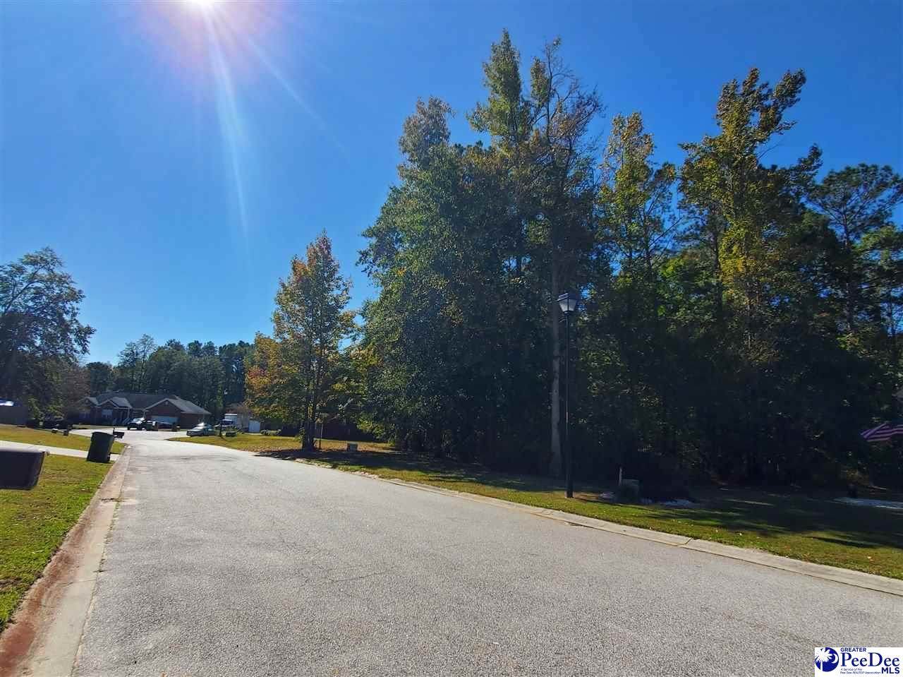 Rock Creek Drive - Photo 1