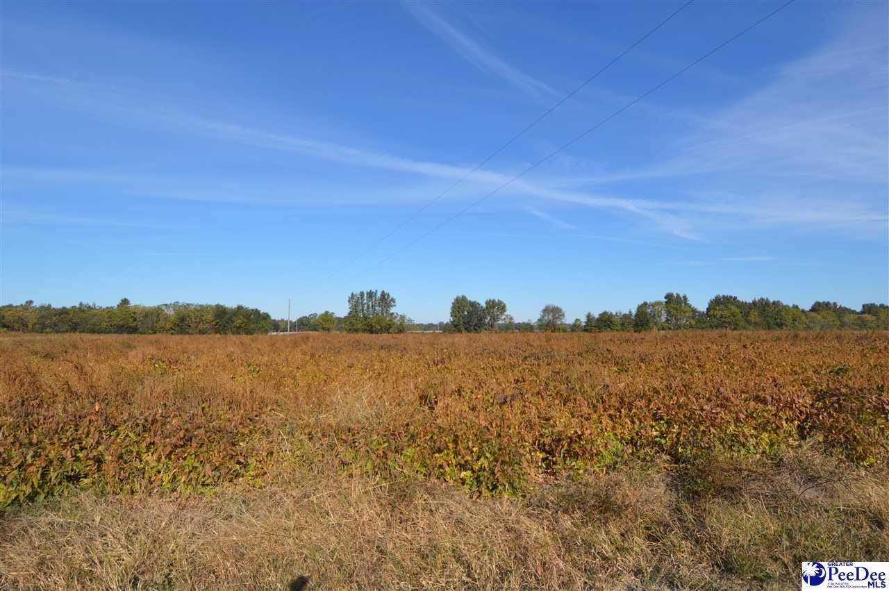 5 acres Mockingbird And Byrdtown Rd - Photo 1