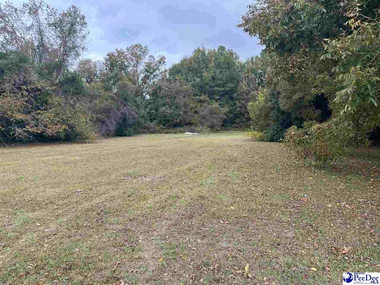 711 Darlington Street - Photo 1