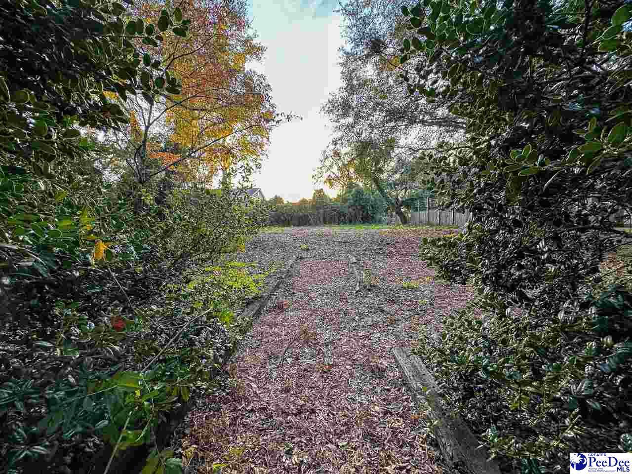316 Laurel Oak Street - Photo 1