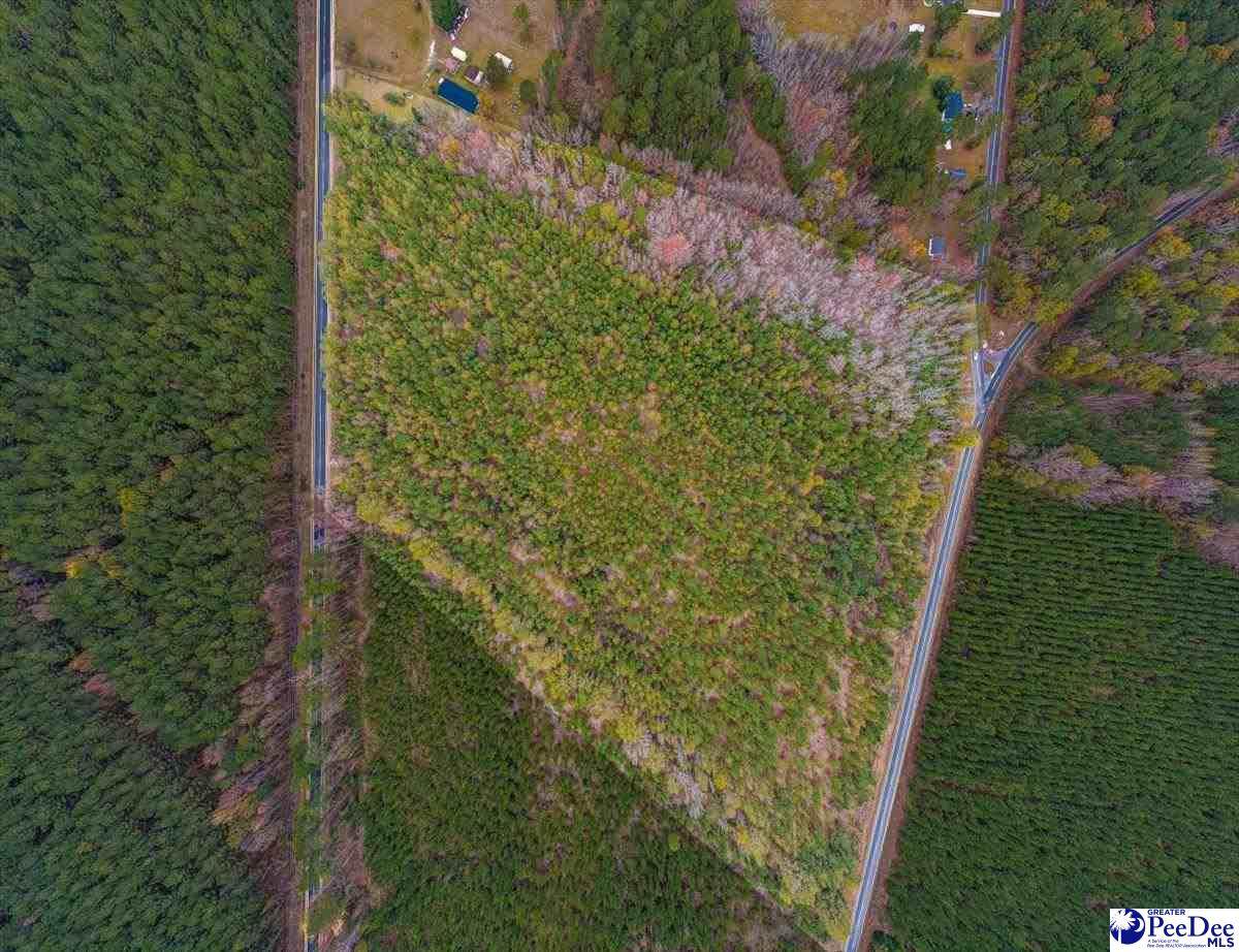 TBD Salem Road (Tract 2) - Photo 1