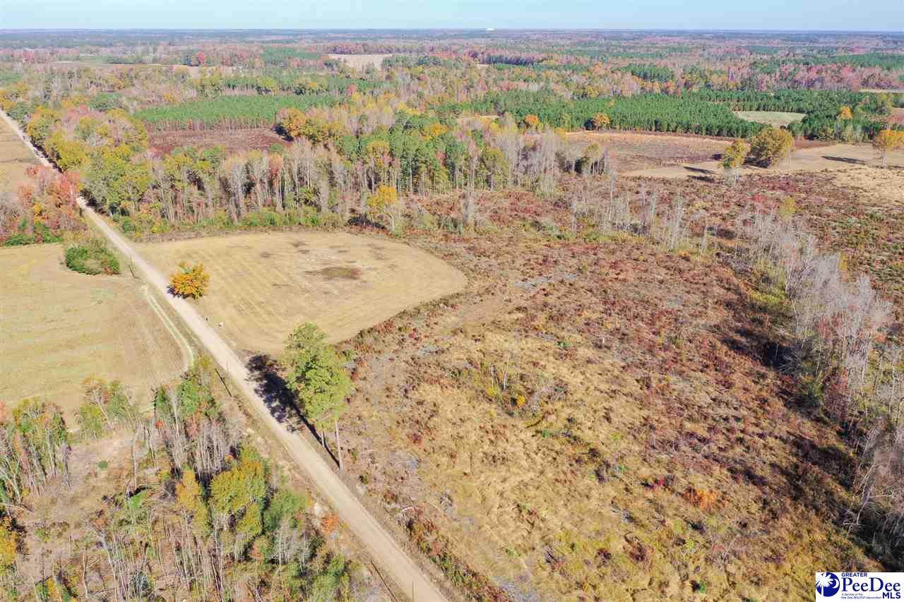30 Acres Billy Green Rd - Photo 1