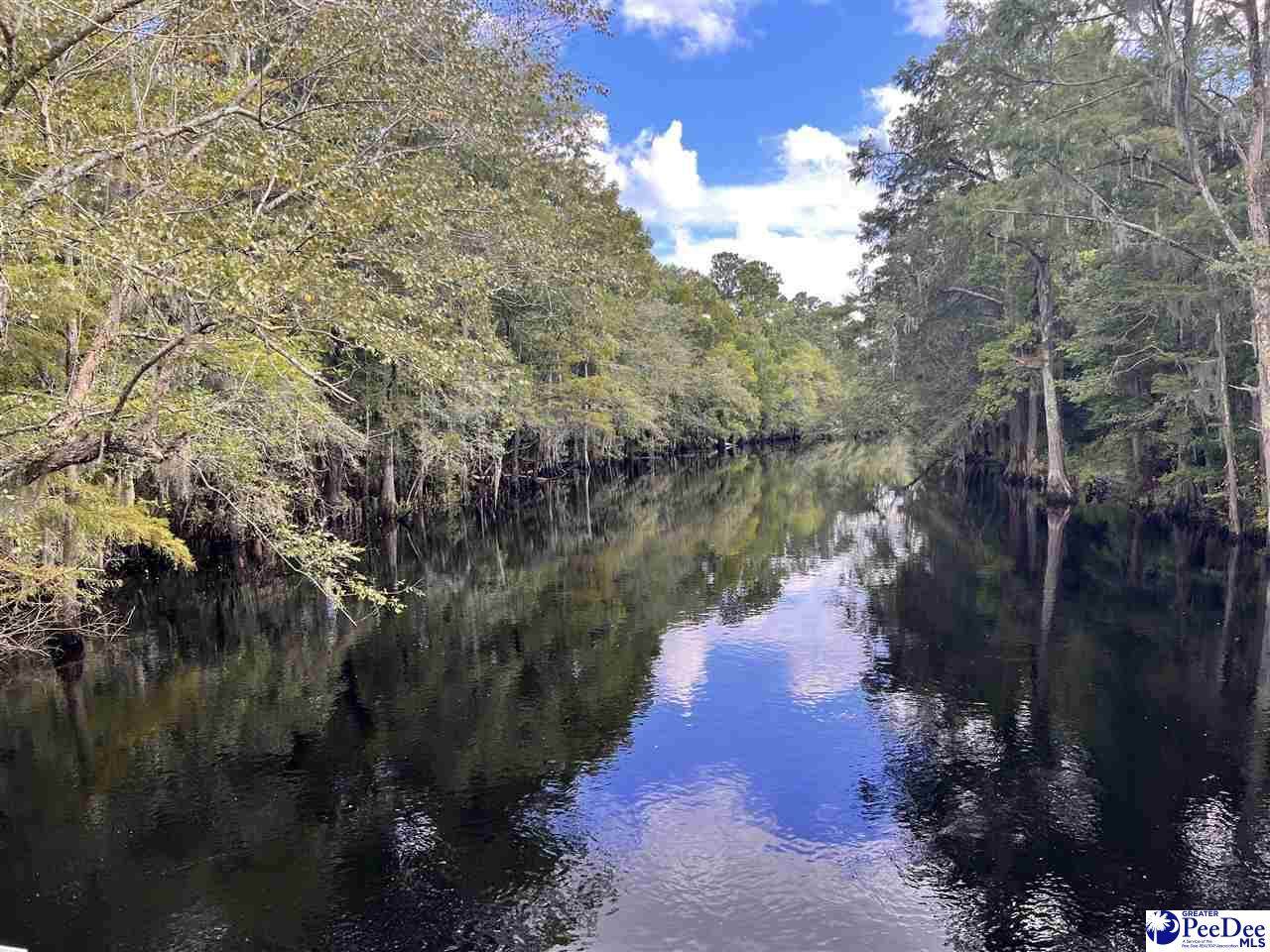 TBD Buck Swamp Rd - Photo 1