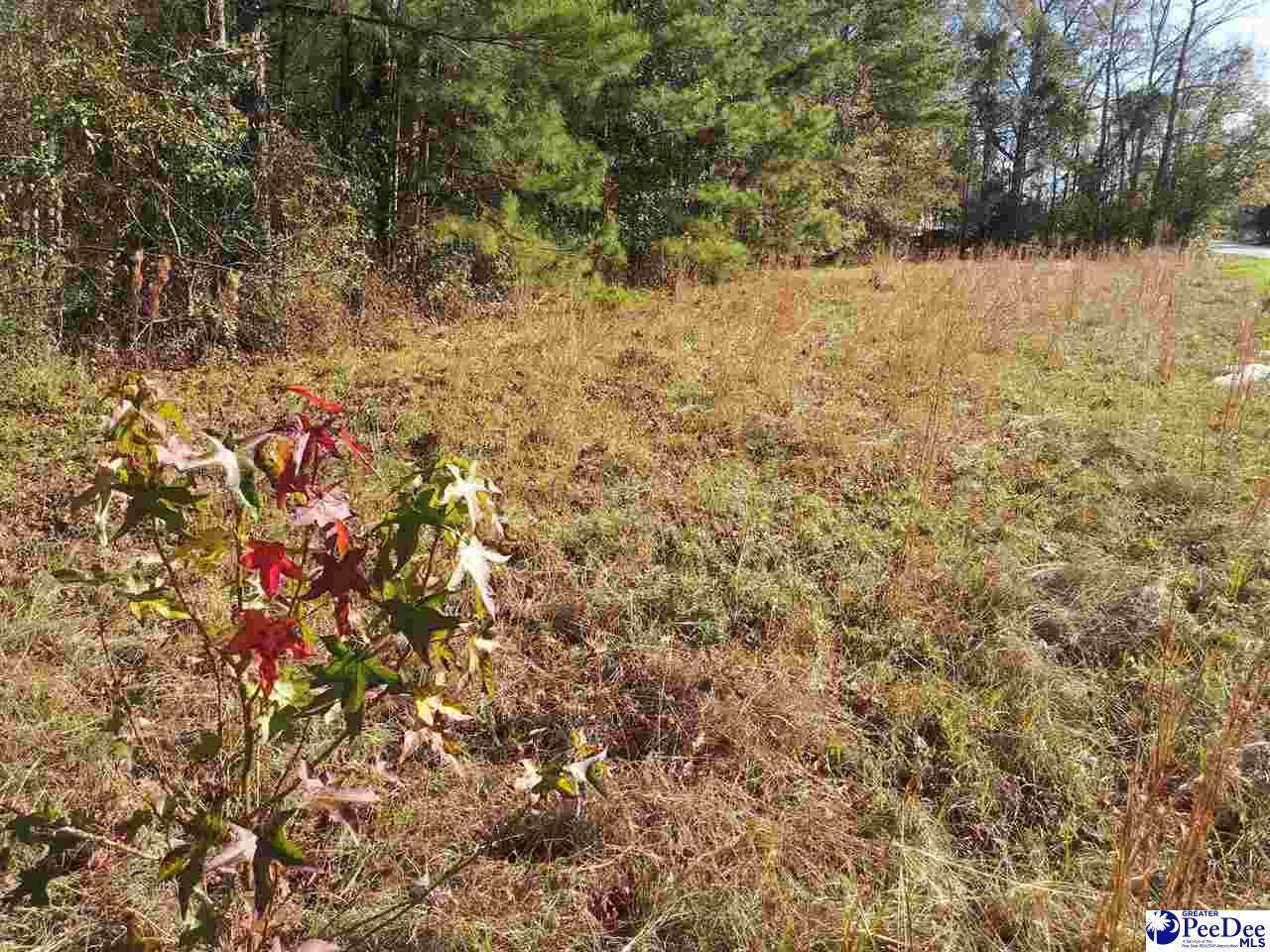 TBD Independence Avenue - Photo 1