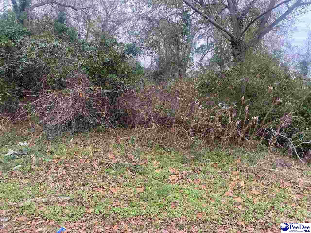 205 1st Street - Photo 1
