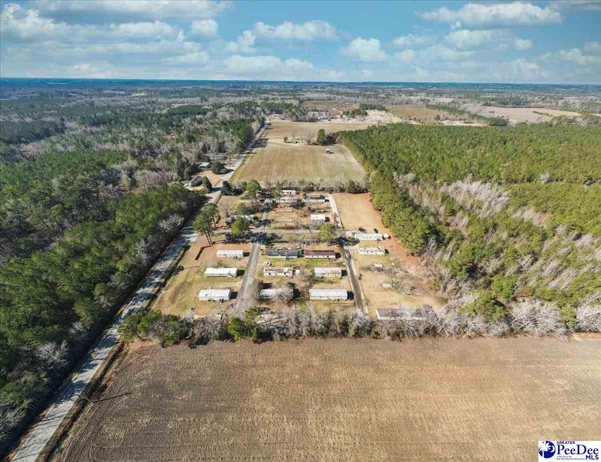 2209 Effingham Hwy - Photo 1