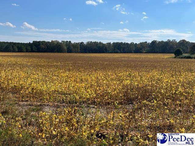 TBD Windham Town Road - Photo 1