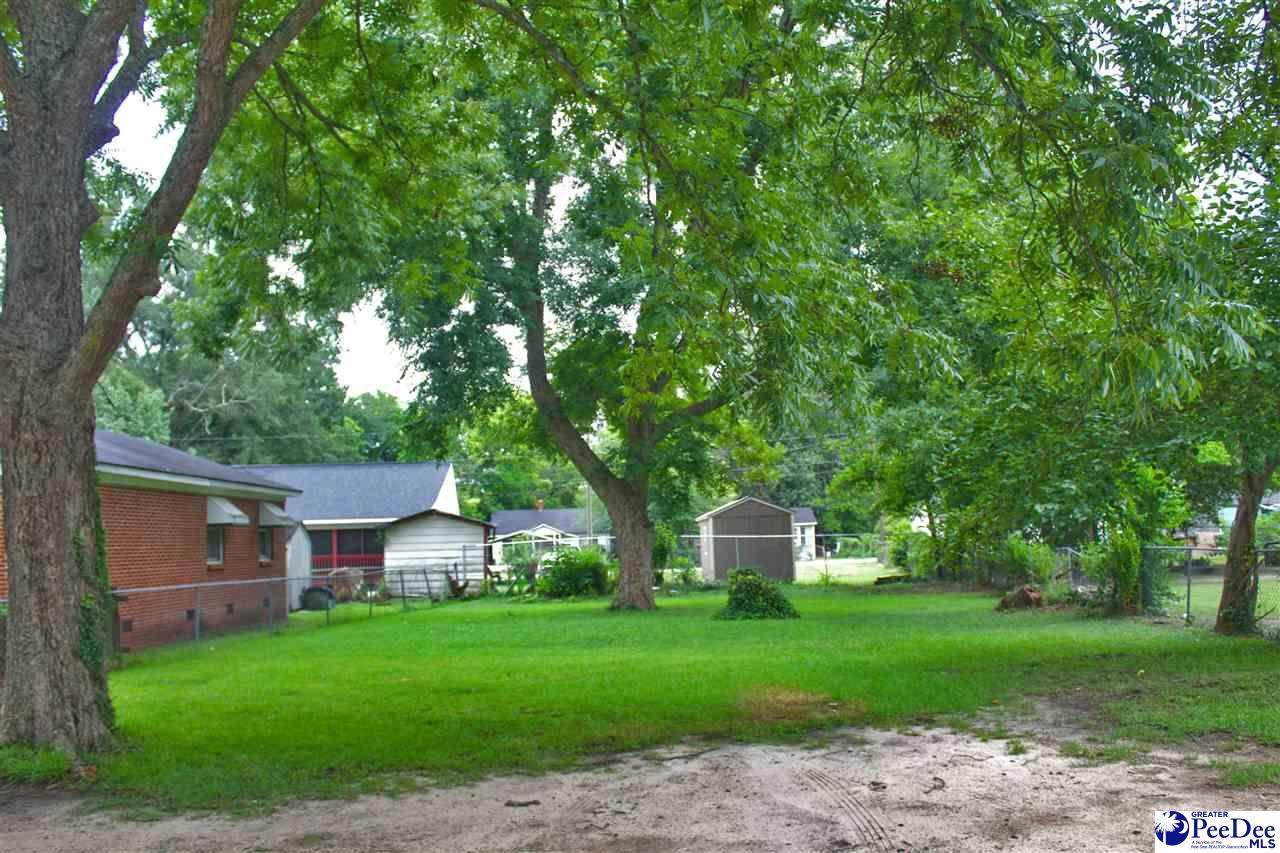 423 James Ave - Photo 1