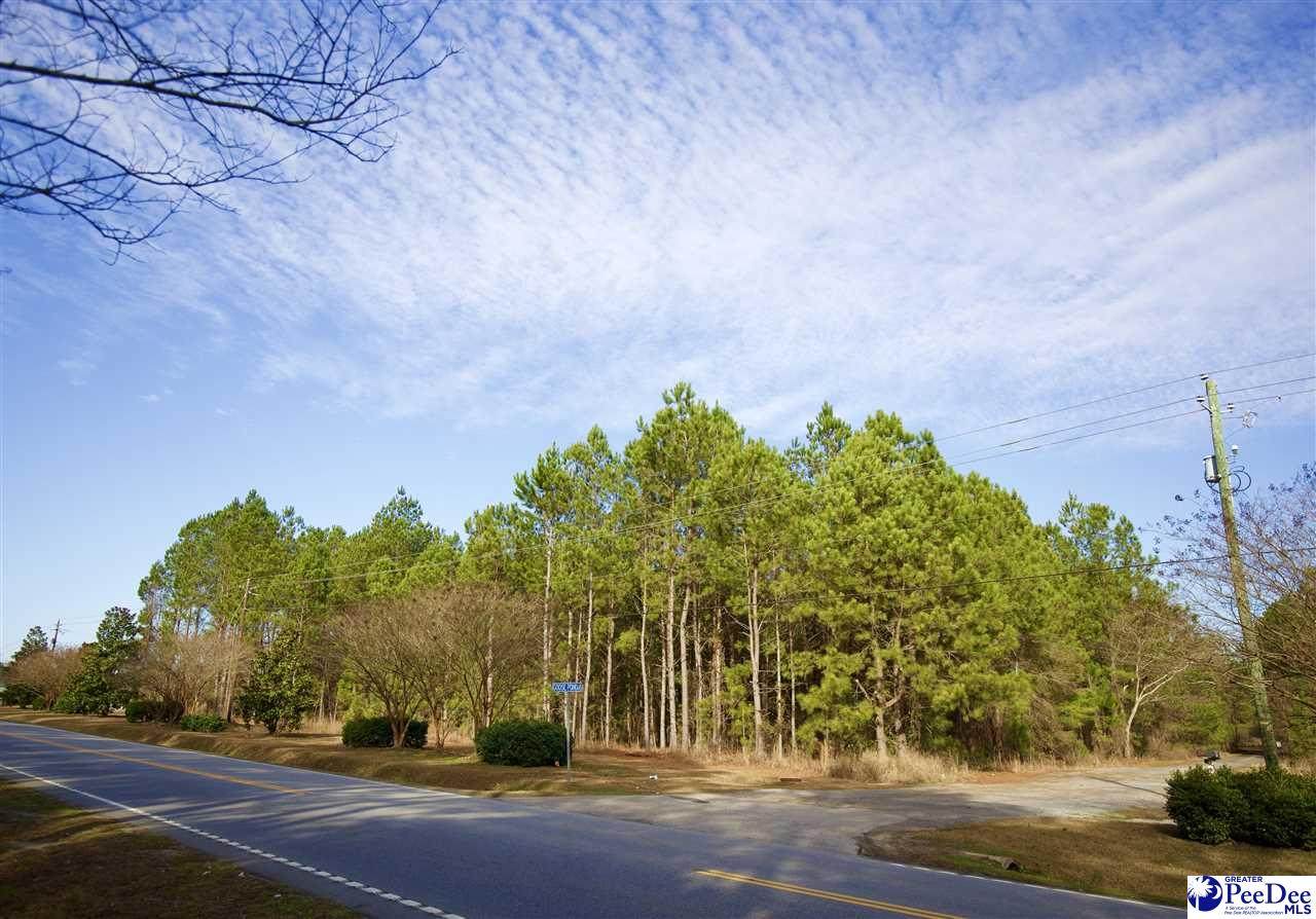 1920 Goose Pond Lane - Photo 1