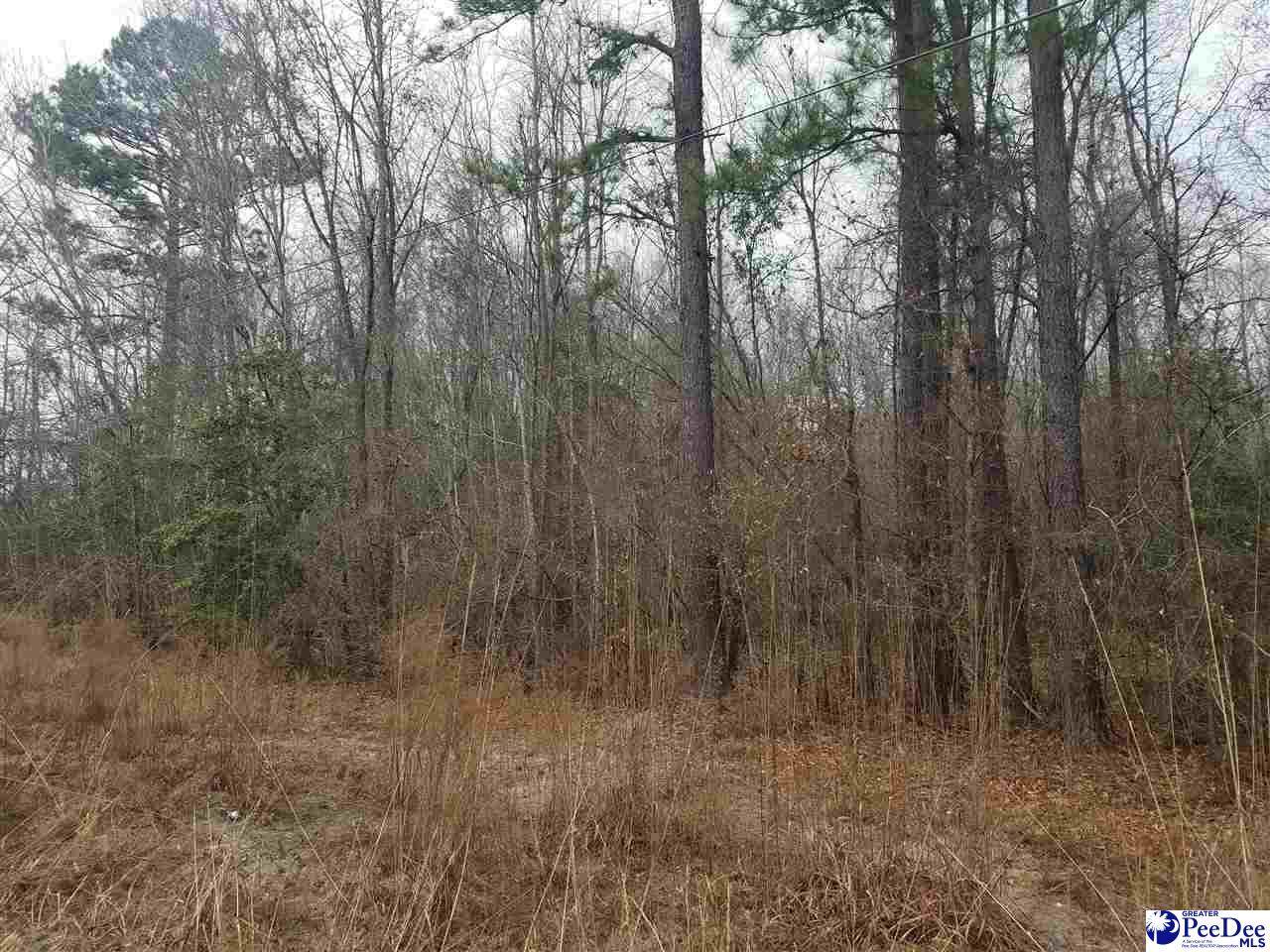 TBD Mccall's Mill Pond Road - Photo 1