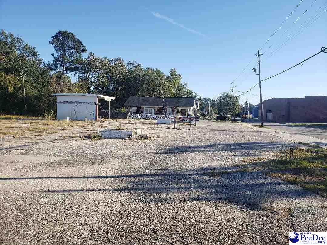 401 Park St - Photo 1