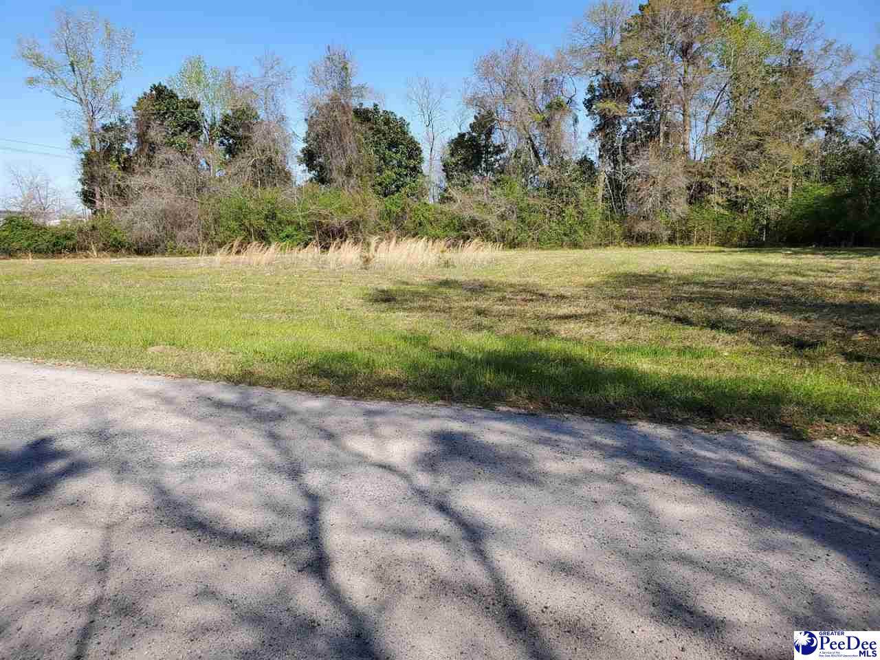 TBD Pamplico Hwy - Photo 1