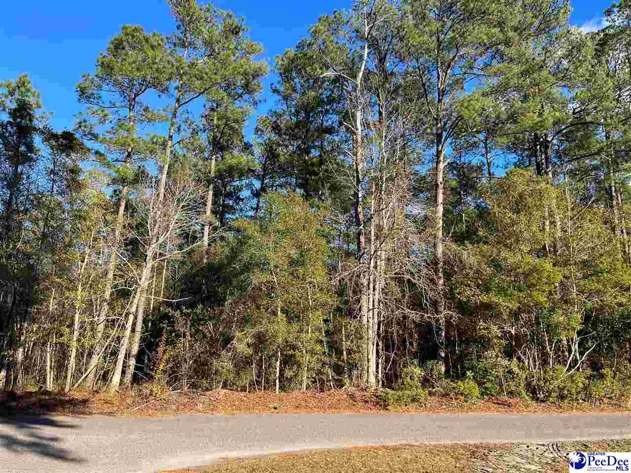 LOT 1410 Willtown Road - Photo 1