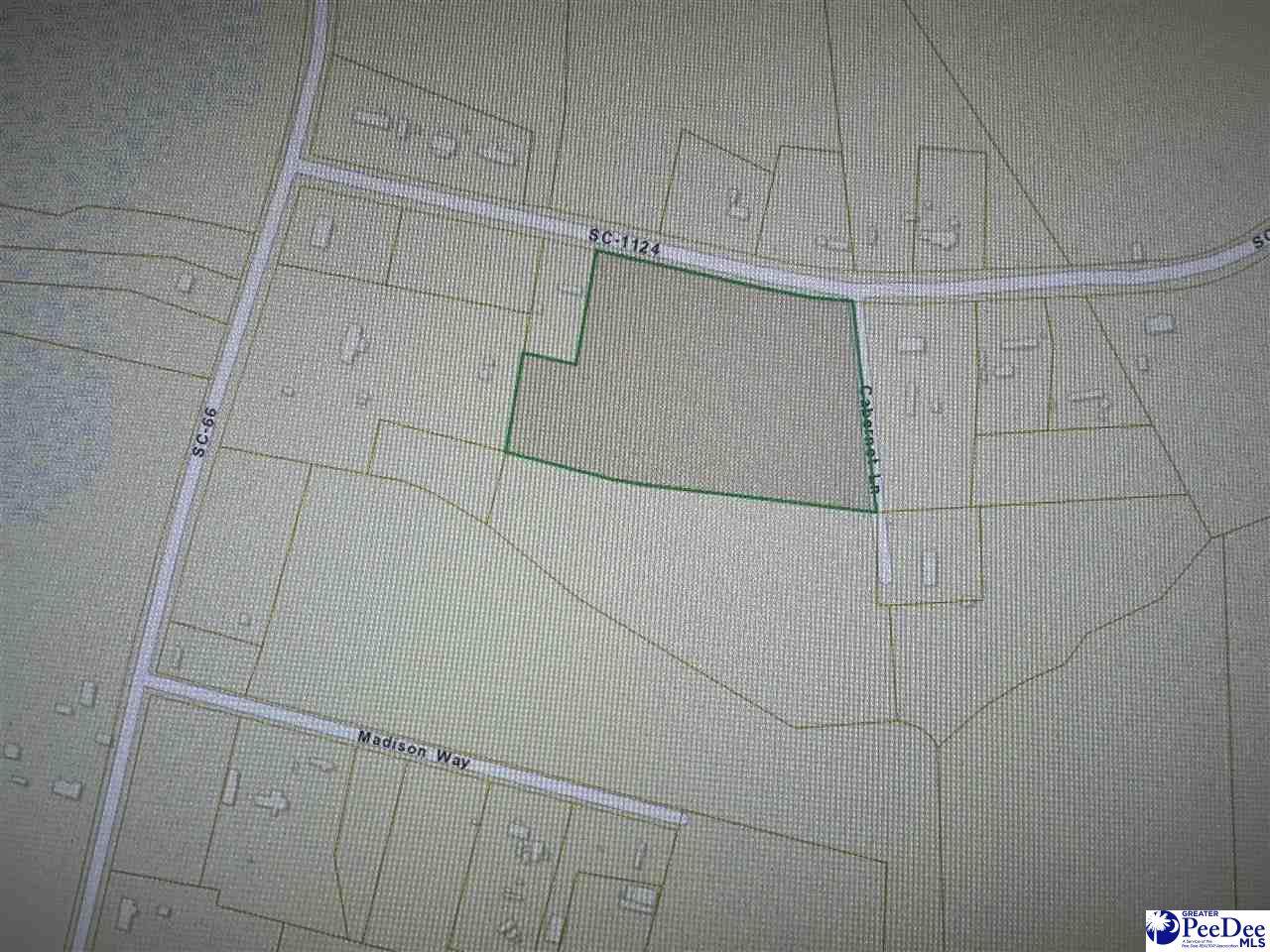 7.67 +/- Tract Hwy 1124 - Photo 1