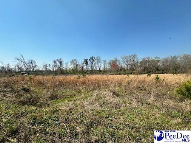 TBD Shine Rd - Photo 1