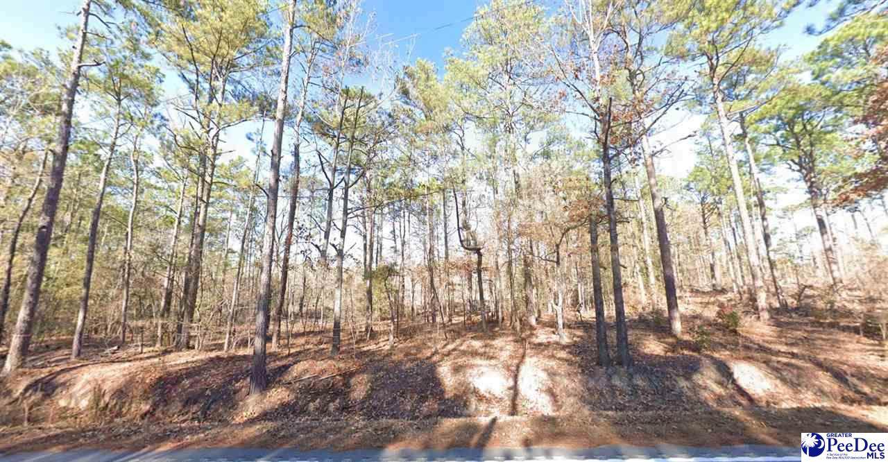 2876 Mcrae Rd - Photo 1
