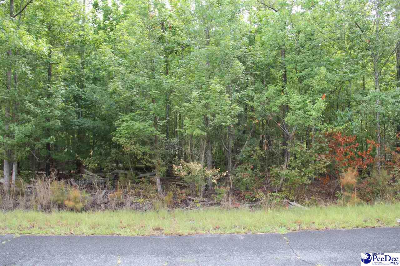 TBD lot 1 Family Road - Photo 1