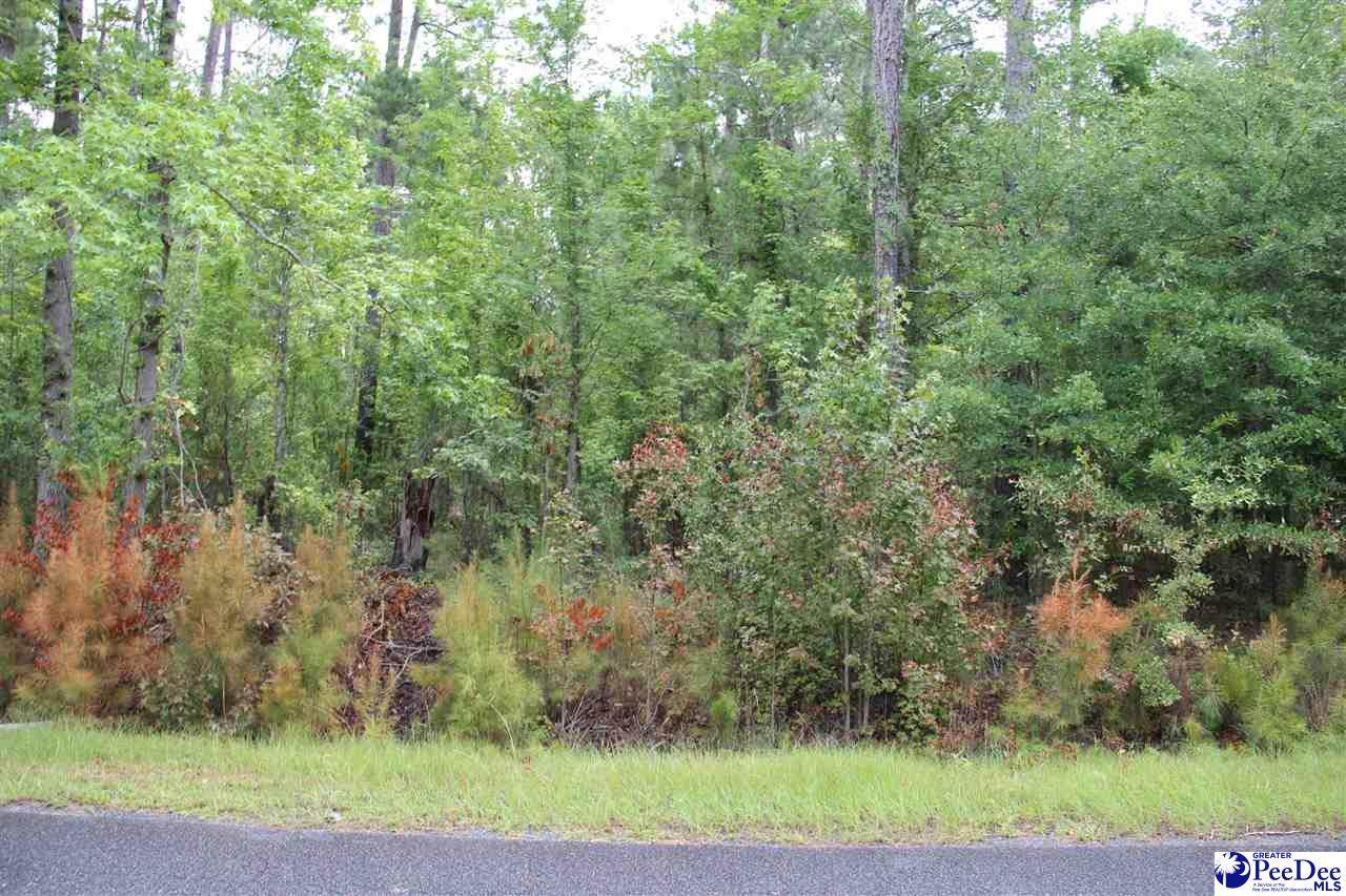 TBD Lot 3 Family Road - Photo 1
