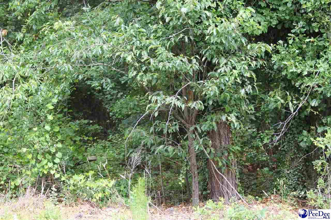TBD lot 4 Family Road - Photo 1