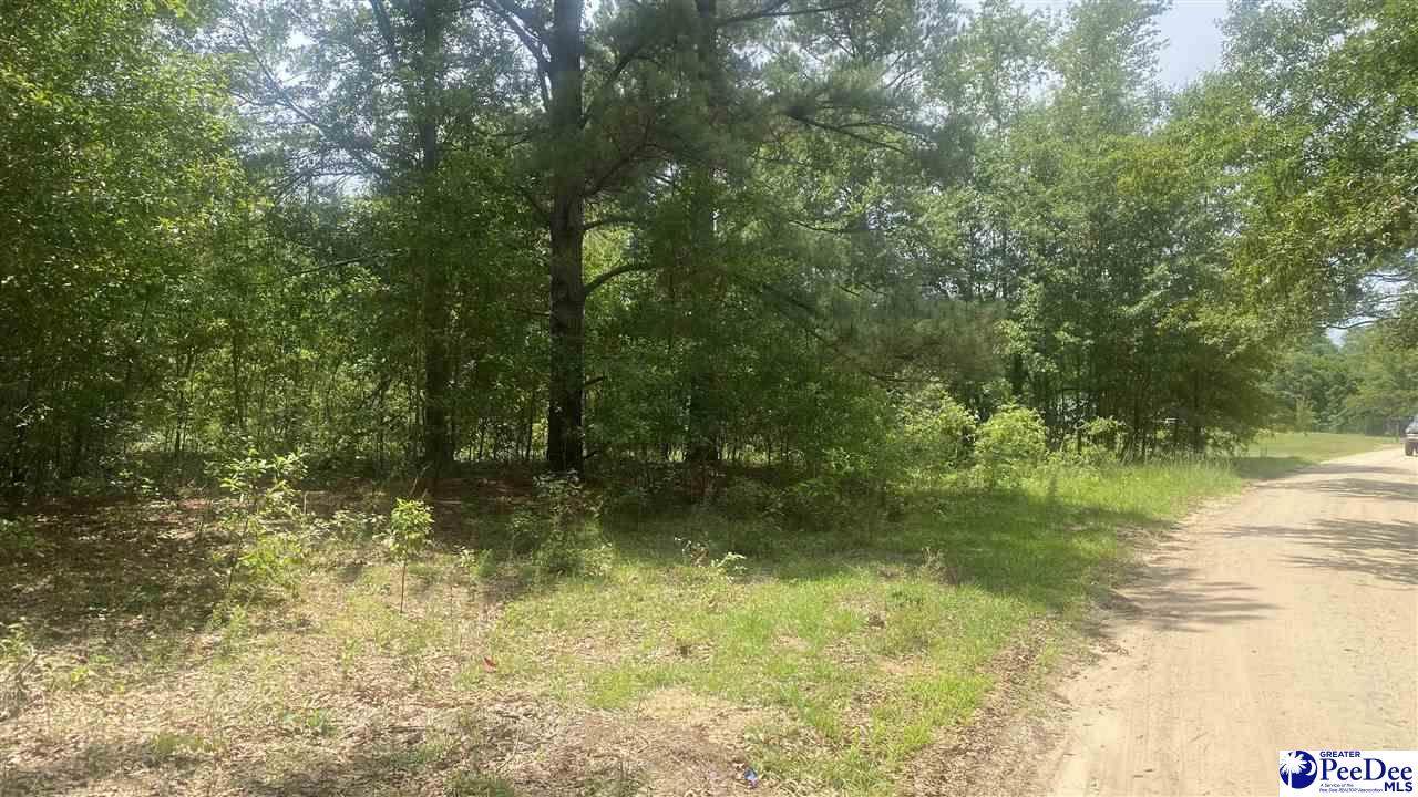 3037 Baxter Rd - Photo 1
