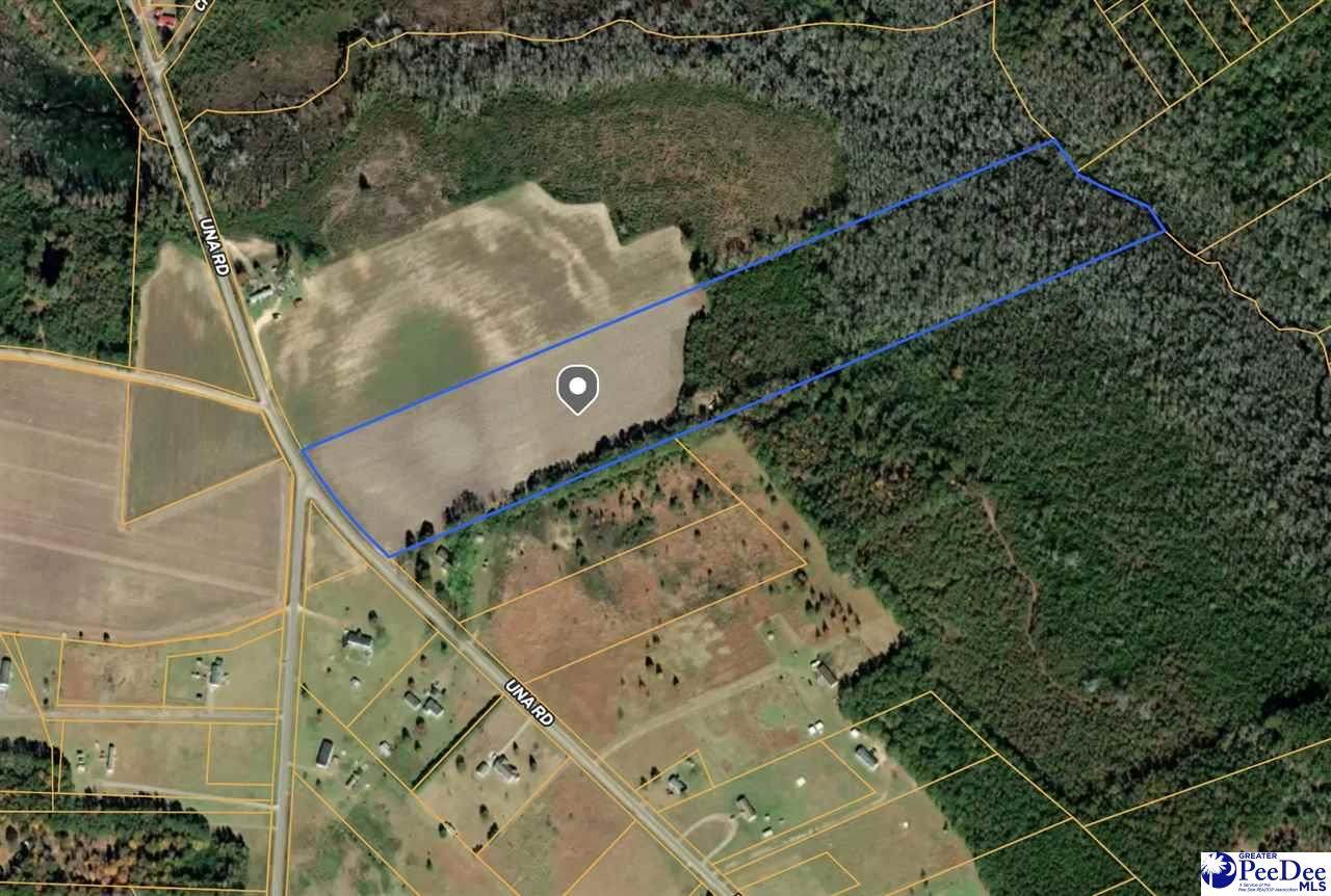 26 Acres Una Road - Photo 1
