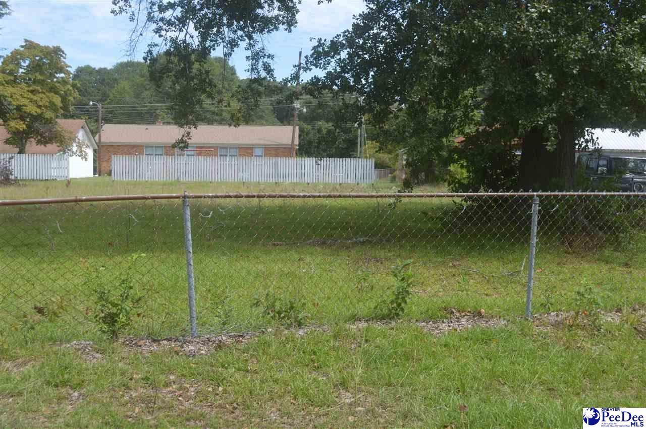 Lot 10 Pineland Circle - Photo 1