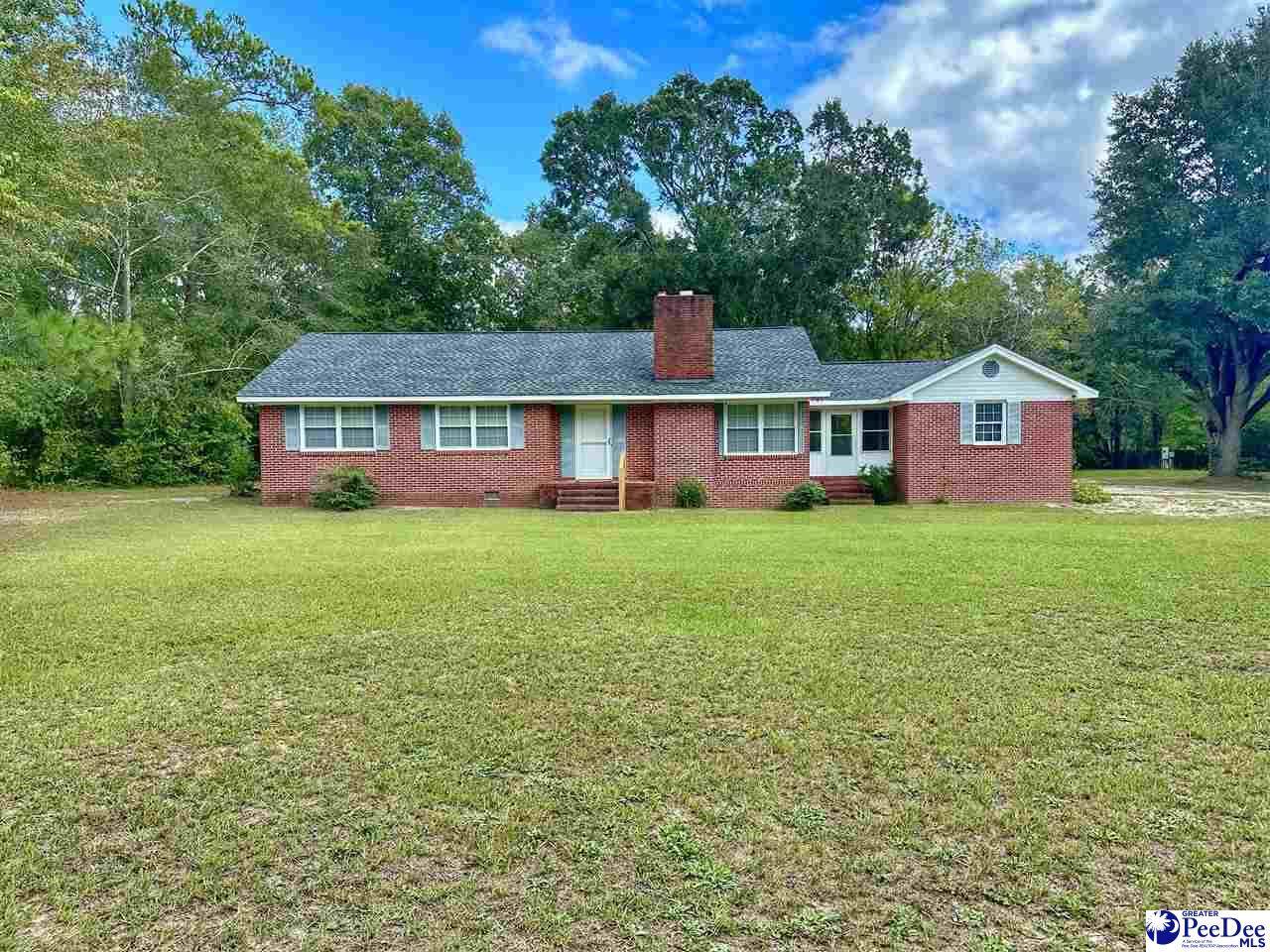2306 Highway 301 - Photo 1