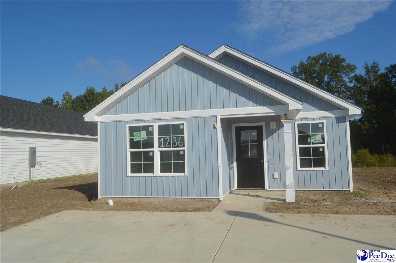 1236 Egrets Point - Photo 1