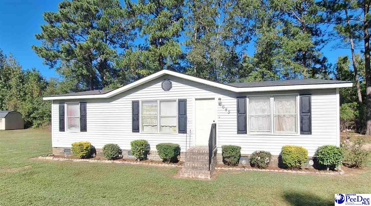 3645 Summertree Drive - Photo 1