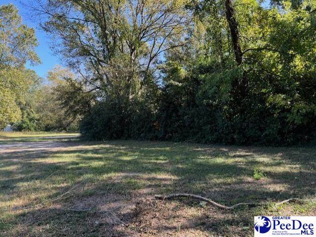 305 Marion Avenue - Photo 1