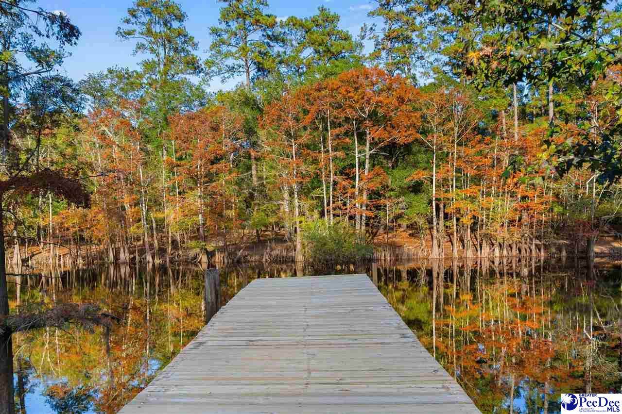 1599 Waccamaw Circle - Photo 1