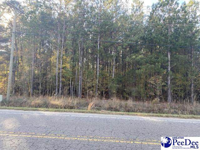 TBD Savannah Grove Rd. - Photo 1