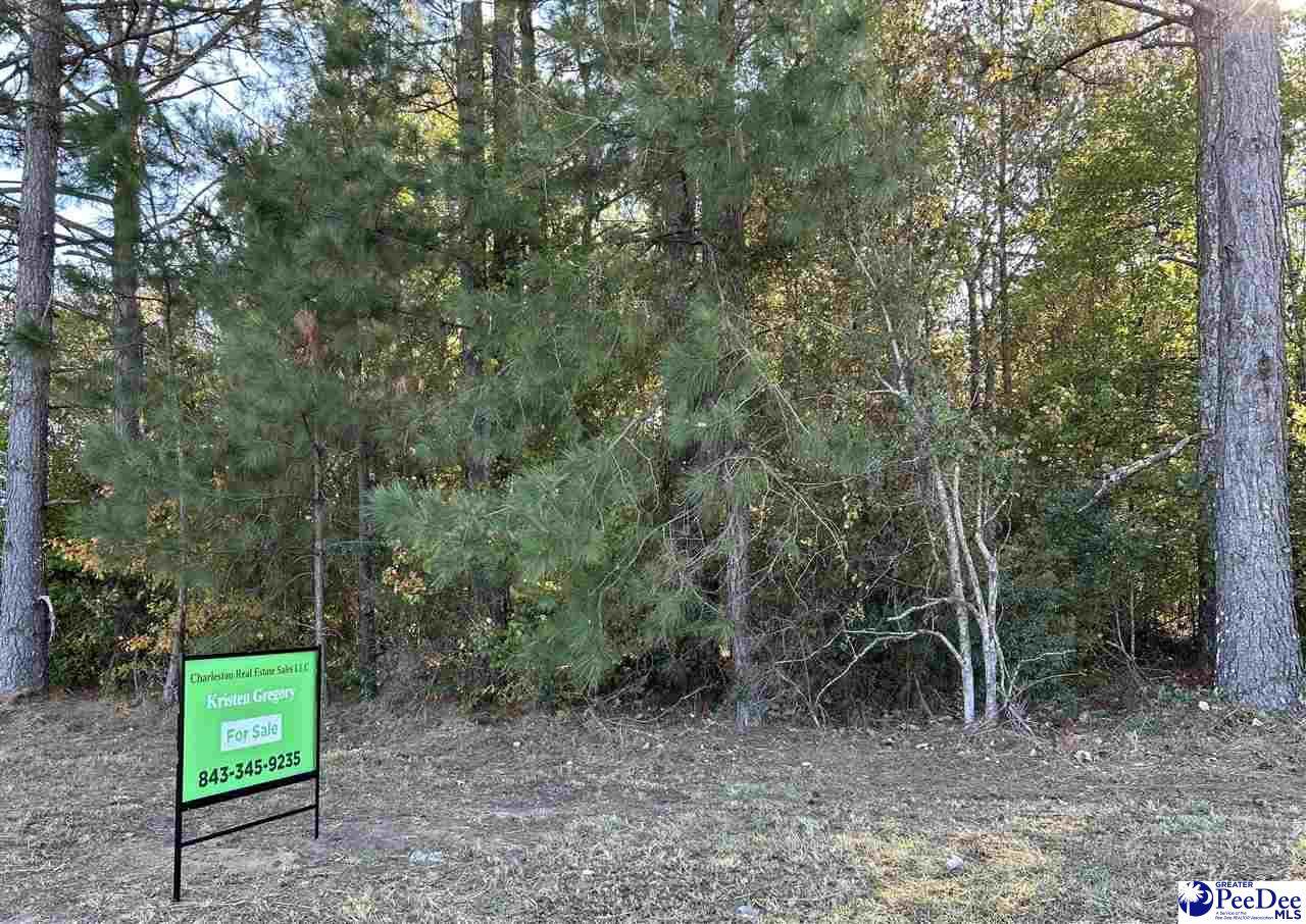 Highway 9 - Photo 1