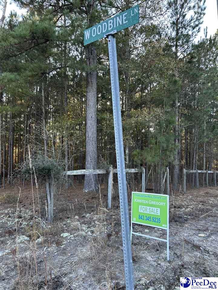 Bridlewood Rd. - Photo 1
