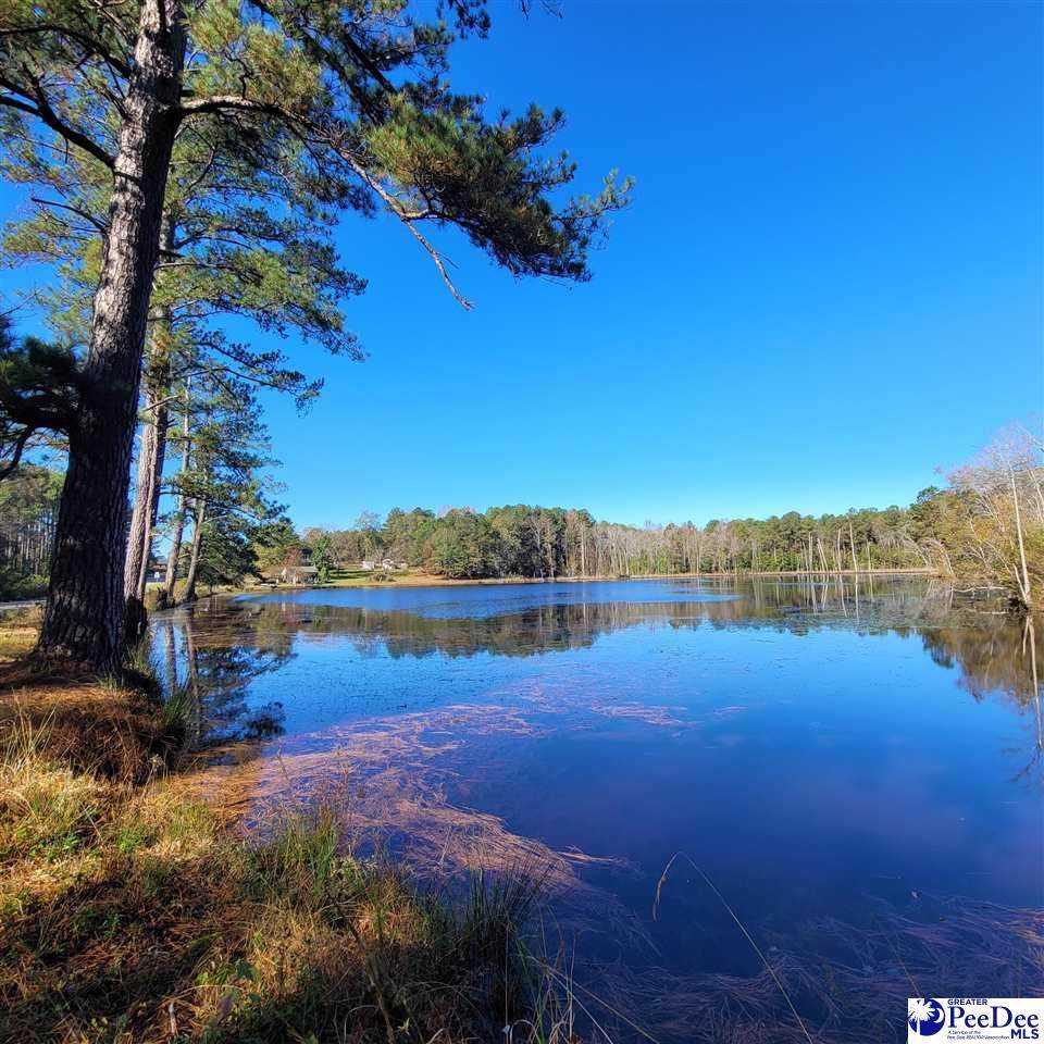 109 Bear Creek Road - Photo 1