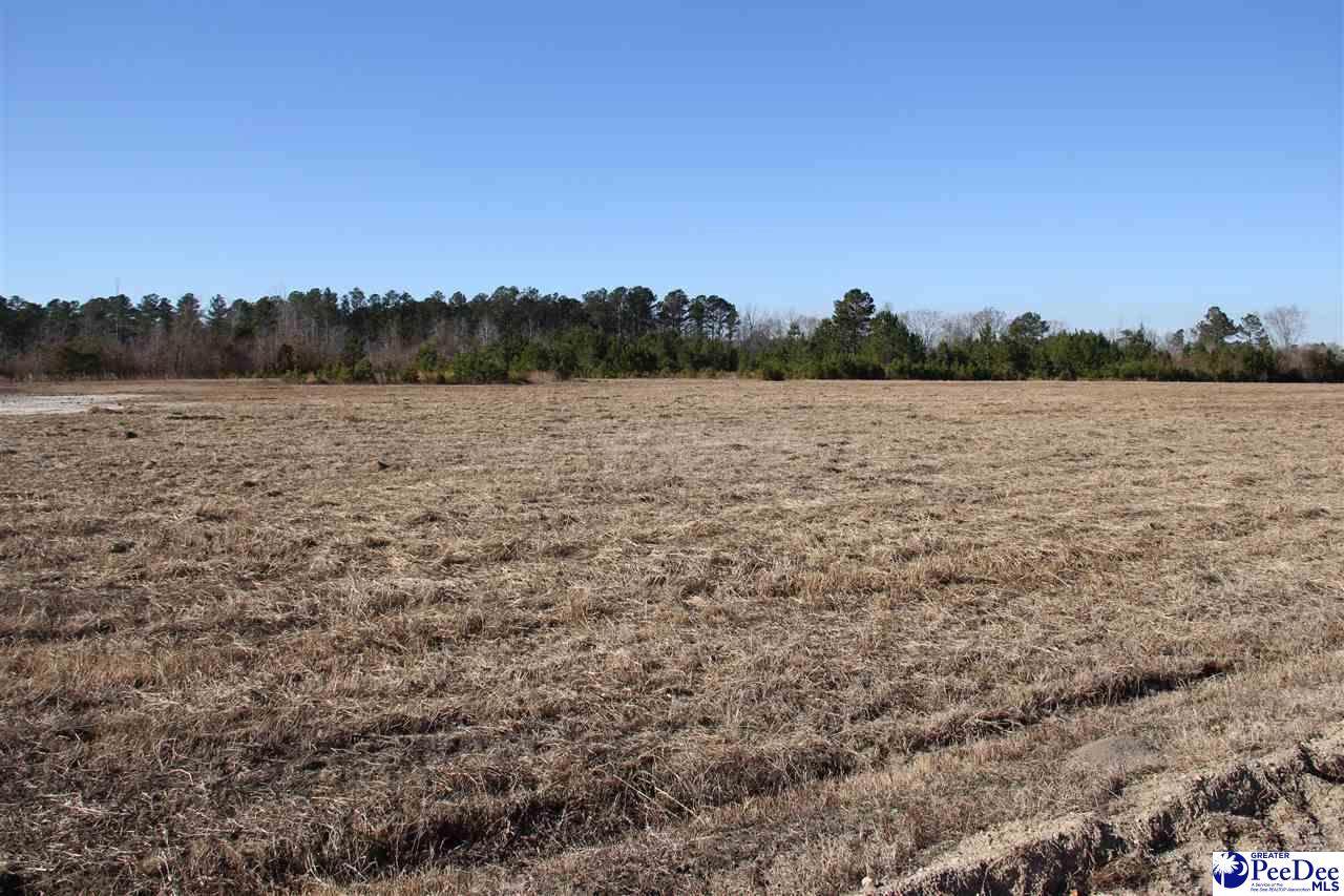TBD Country Manor Rd - Photo 1