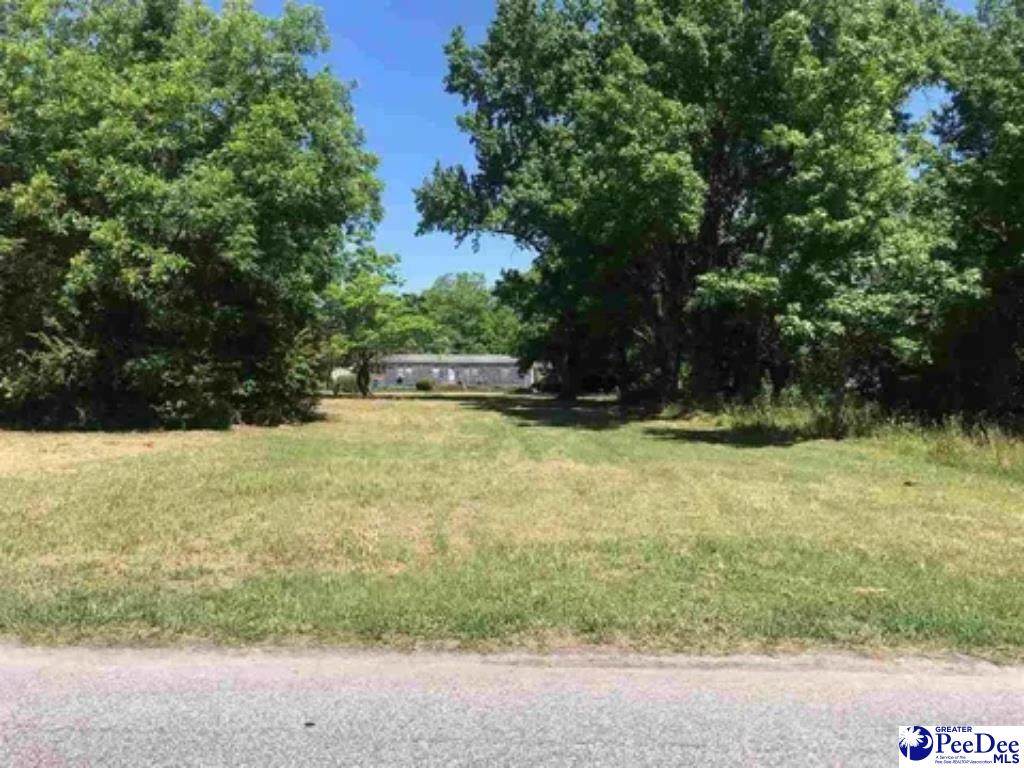 421 Allen Street - Photo 1