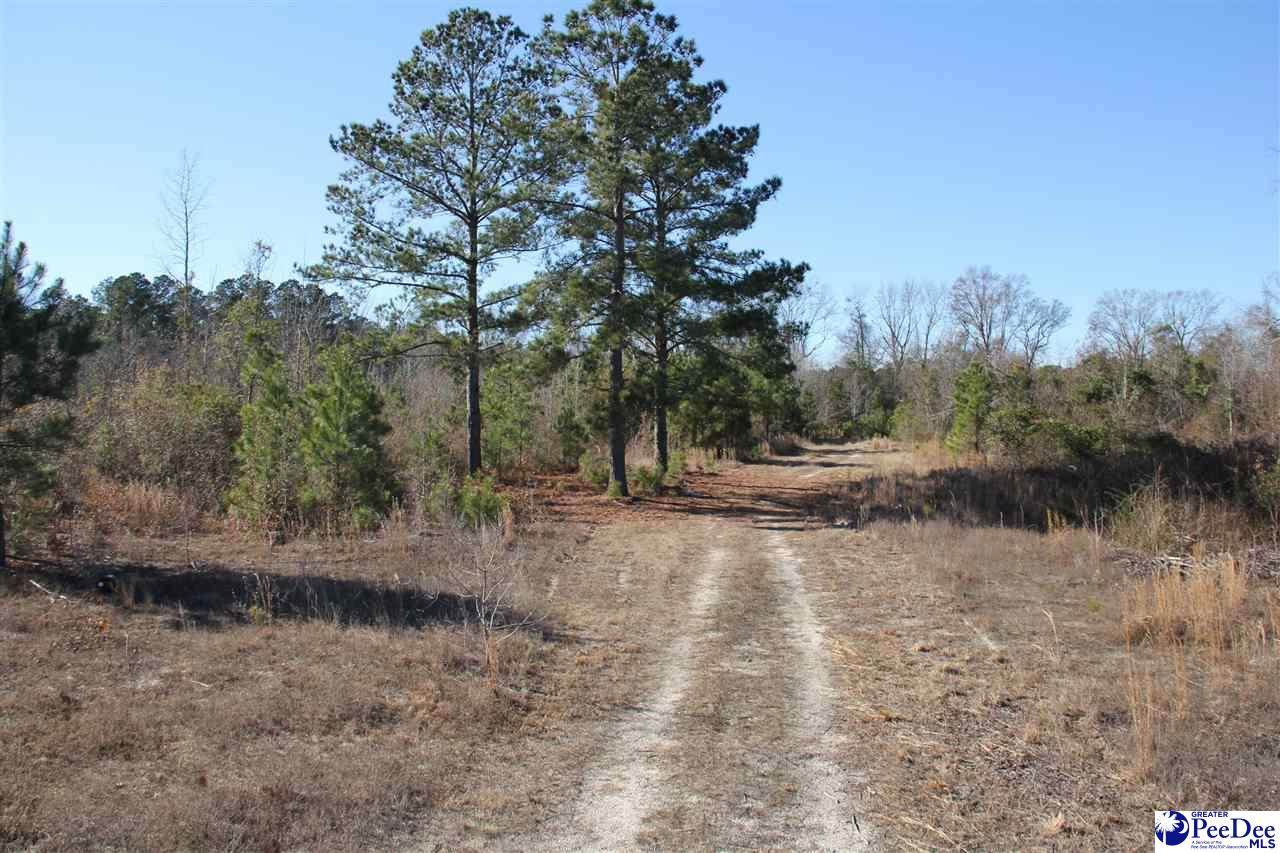 000 Country Manor Rd - Photo 1