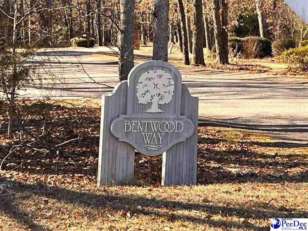  Bentwood Rd - Photo 1