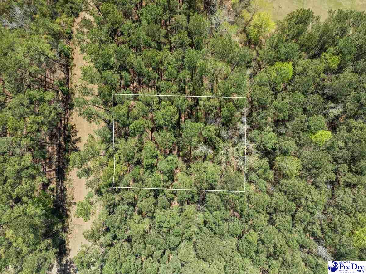 TBD Lot 17 Otwell Drive - Photo 1
