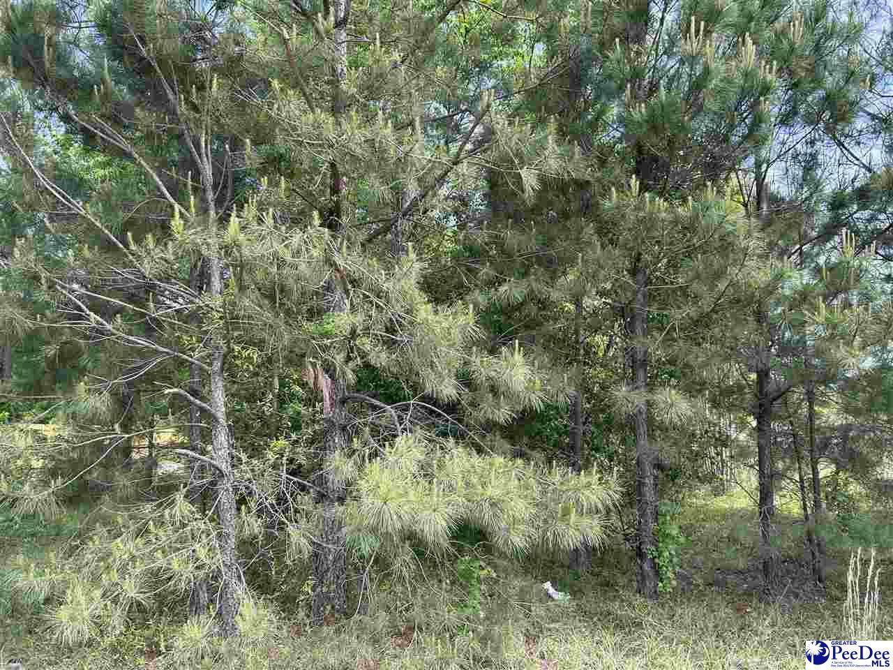 https://bt-photos.global.ssl.fastly.net/peedee/orig_boomver_1_20251385-2.jpg