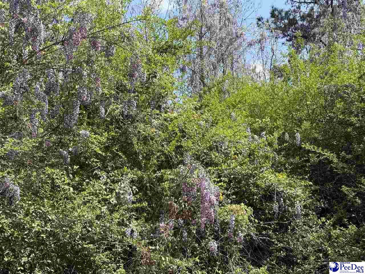 https://bt-photos.global.ssl.fastly.net/peedee/orig_boomver_1_20251632-2.jpg