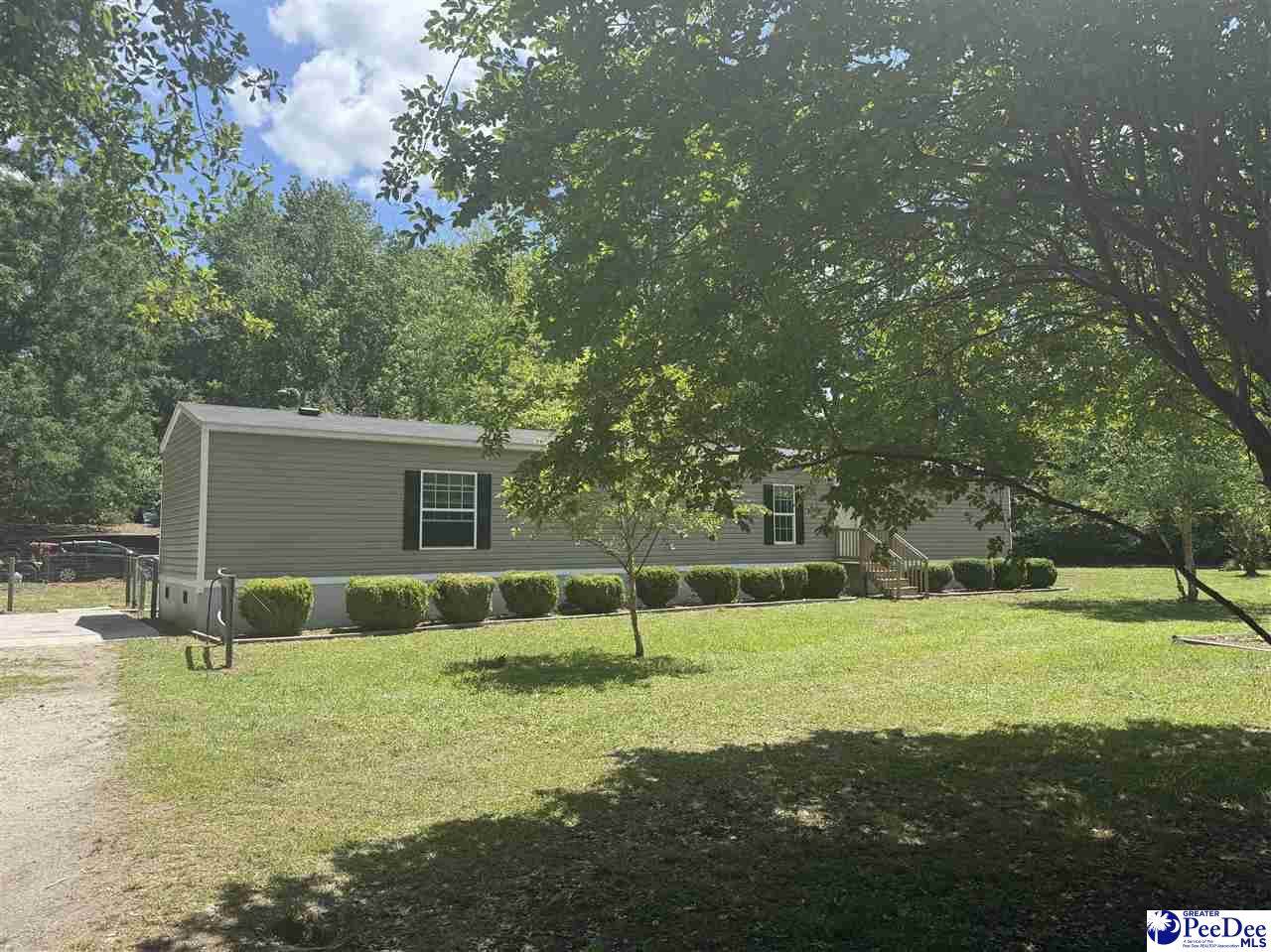 869 Deer Rd - Photo 1