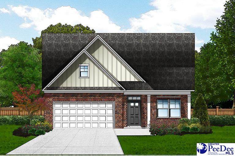 1229 Summer Duck Loop (Lot 68) - Photo 1