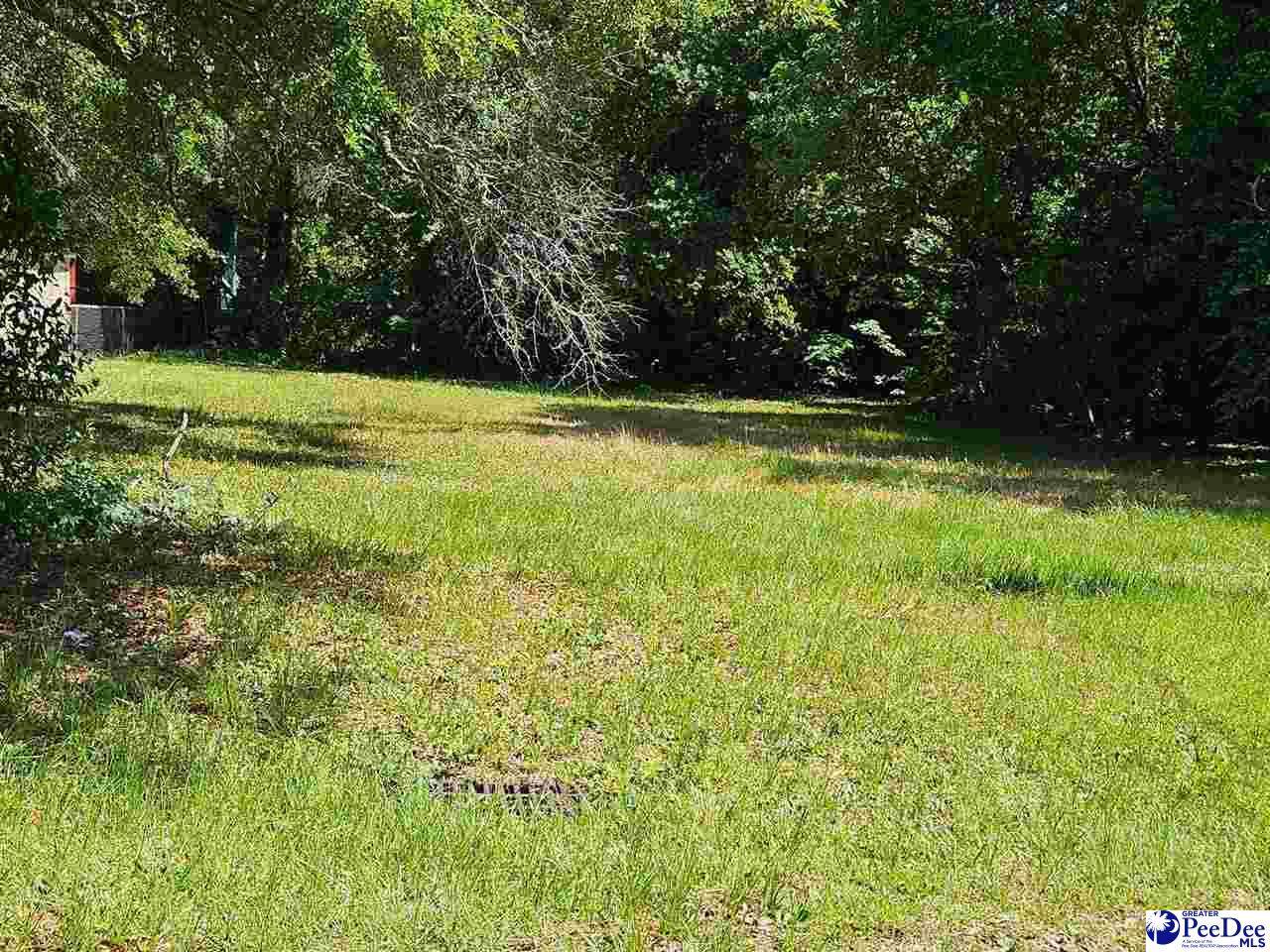 429 Sumter Ave - Photo 1