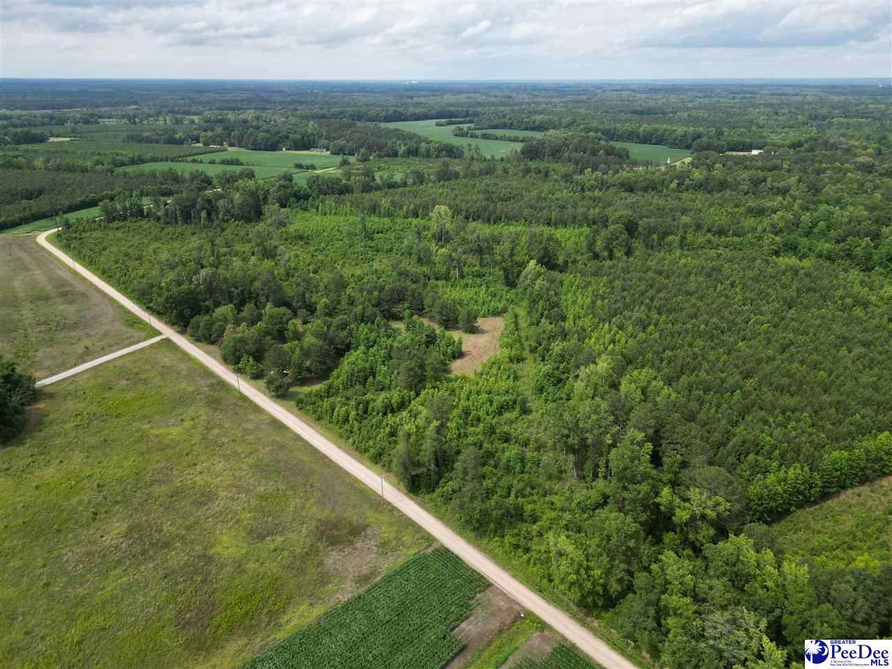 3802 Billy Green Rd - Photo 1