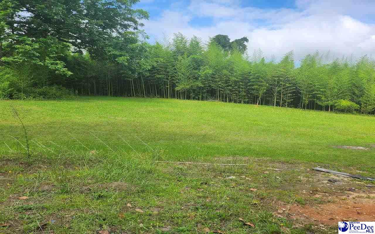 123 Livingston - Photo 1